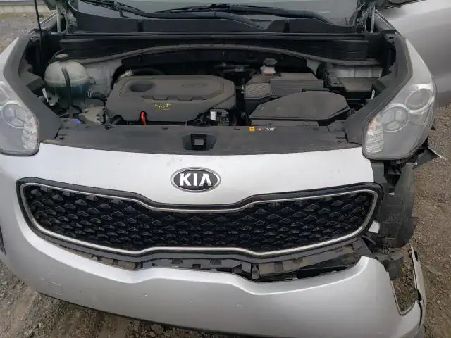 KIA SPORTAGE KNDPM3AC1K7495834